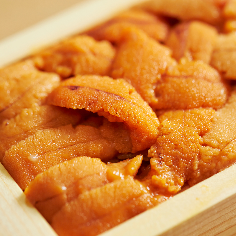 Canada Sea Urchin (110G/10pcs)