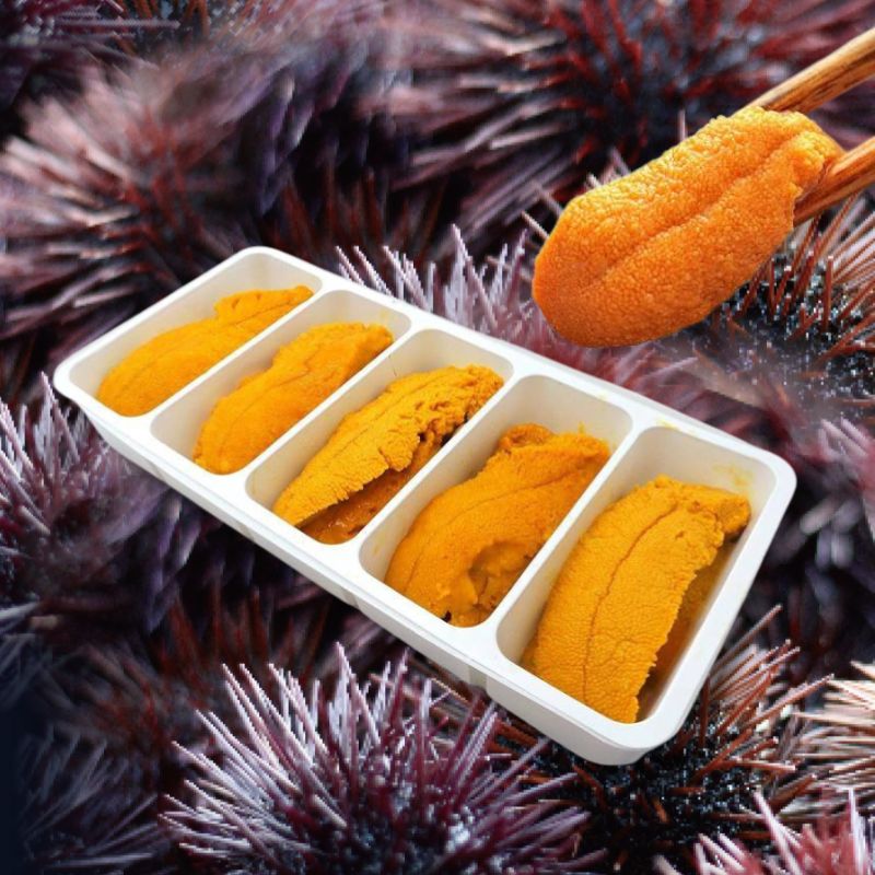 Canada Sea Urchin (110G/10pcs)
